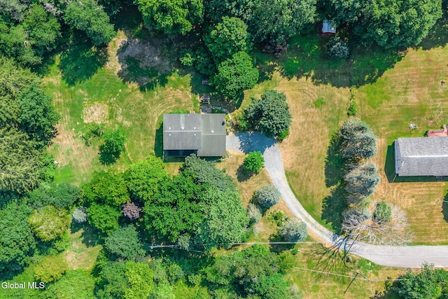 67 Cynthia Ln, Schodack, NY 12123 - photo 19
