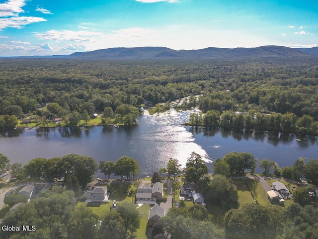 61 Palmer Dr, Queensbury, NY 12804 - photo 68