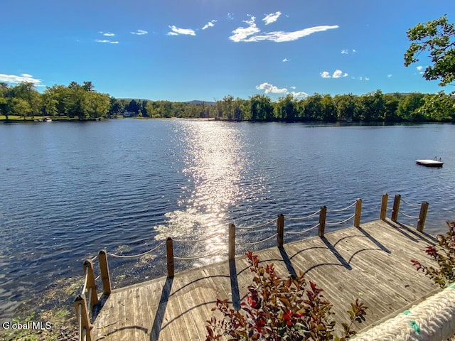 61 Palmer Dr, Queensbury, NY 12804 - photo 9