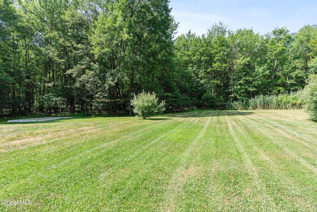 47 Birds Hill Rd, Sand Lake, NY 12018 - photo 4