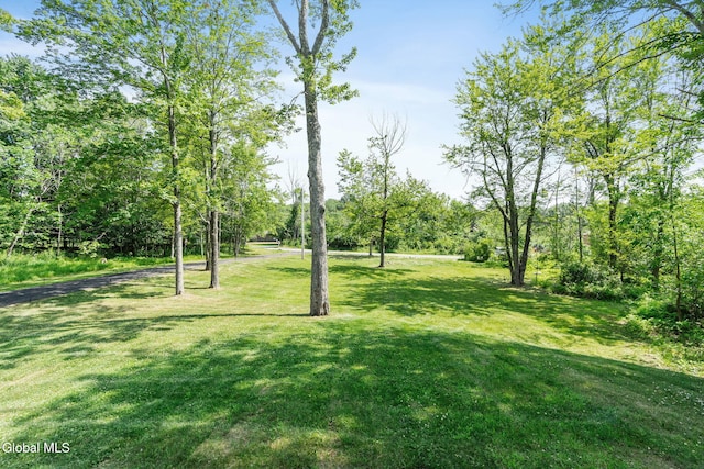 47 Birds Hill Rd, Sand Lake, NY 12018 - photo 66