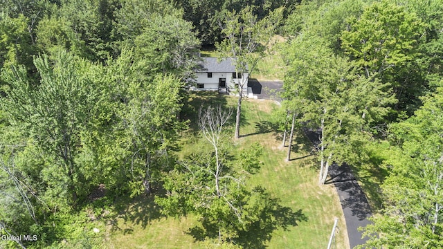 47 Birds Hill Rd, Sand Lake, NY 12018 - photo 63