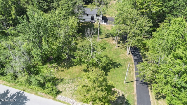 47 Birds Hill Rd, Sand Lake, NY 12018 - photo 65