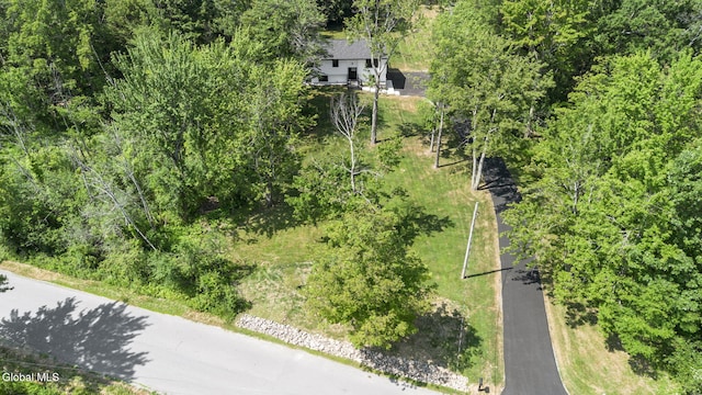 47 Birds Hill Rd, Sand Lake, NY 12018 - photo 68