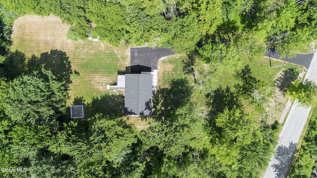 47 Birds Hill Rd, Sand Lake, NY 12018 - photo 70