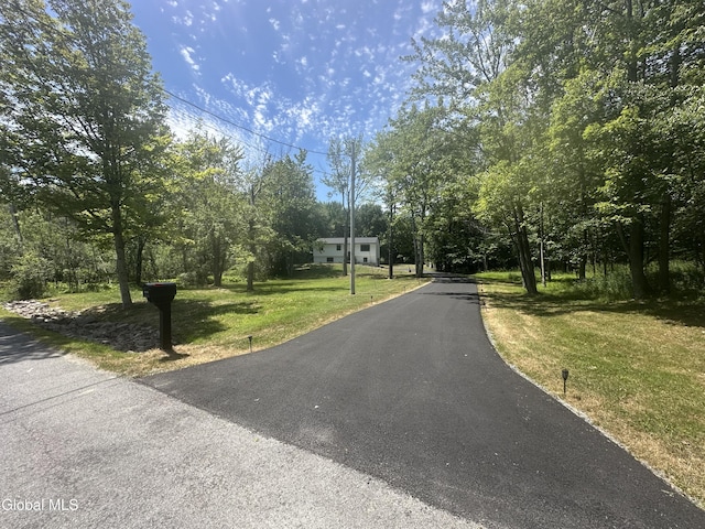 47 Birds Hill Rd, Sand Lake, NY 12018 - photo 62