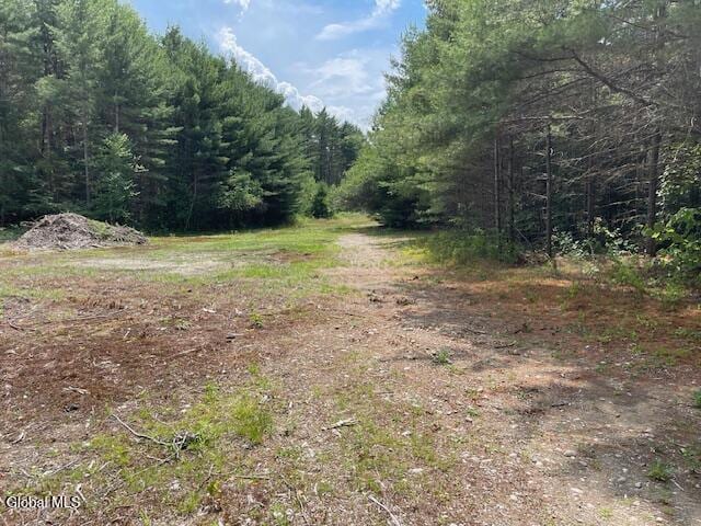 3660 US Route 9, North Hudson, NY 12855 - photo 1
