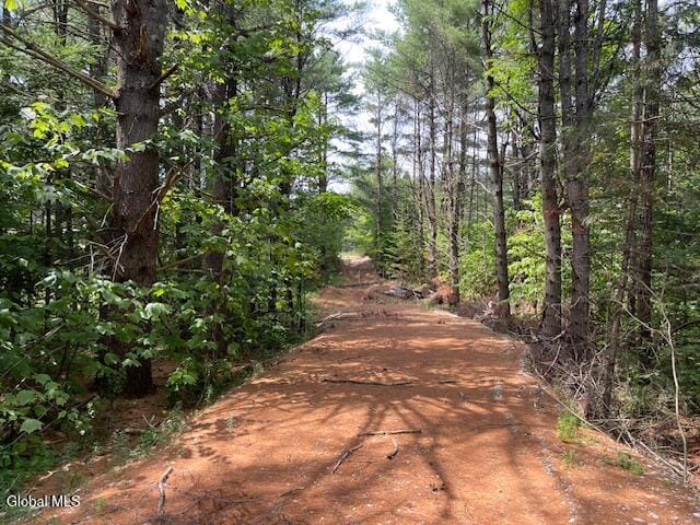 3660 US Route 9, North Hudson, NY 12855 - photo 4