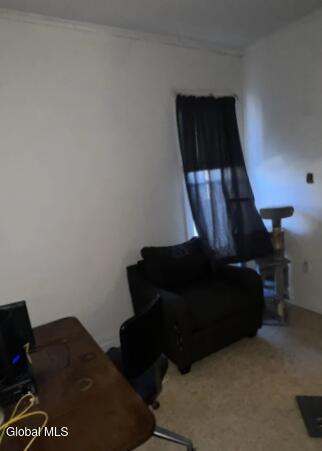 324 Hulett St, Schenectady, NY 12307 - photo 31
