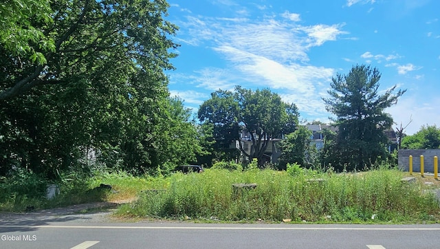 2 Hunter St, Albany, NY 12202 - photo 1