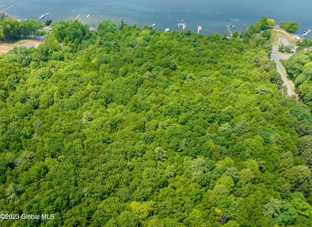 L23 Luther Rd, Stillwater, NY 12866 - photo 14