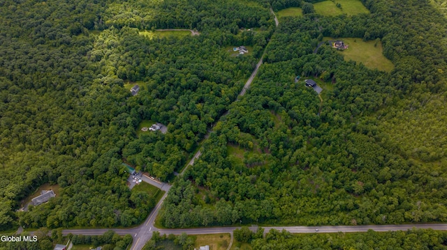 826-830 Locust Grove Rd, Greenfield, NY 12833 - photo 6