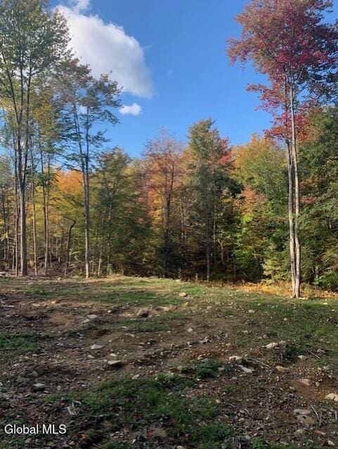 826-830 Locust Grove Rd, Greenfield, NY 12833 - photo 9