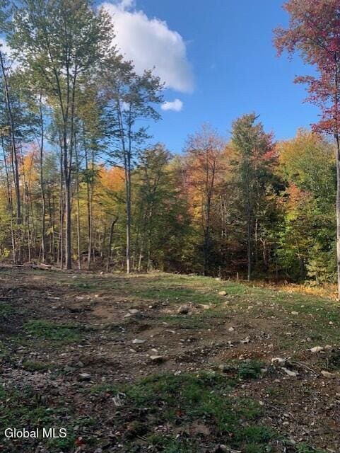 826-830 Locust Grove Rd, Greenfield, NY 12833 - photo 10