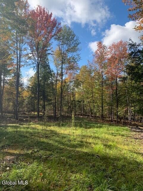 826-830 Locust Grove Rd, Greenfield, NY 12833 - photo 11
