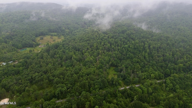 0 California Hollow Rd, Bolivar, NY 14715 - photo 6