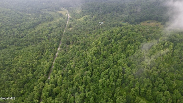 0 California Hollow Rd, Bolivar, NY 14715 - photo 7