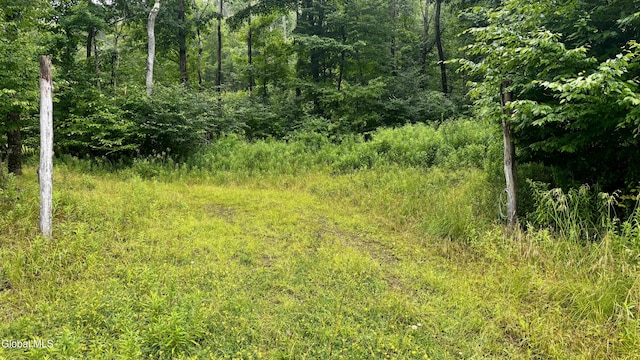 0 California Hollow Rd, Bolivar, NY 14715 - photo 9
