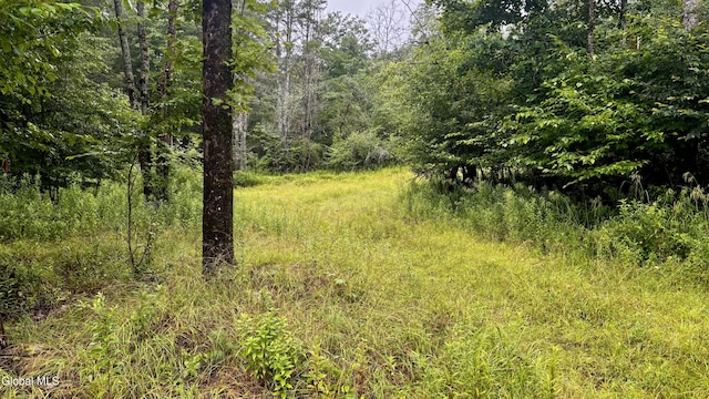 0 California Hollow Rd, Bolivar, NY 14715 - photo 10