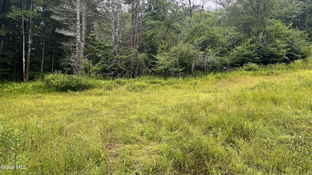 0 California Hollow Rd, Bolivar, NY 14715 - photo 11
