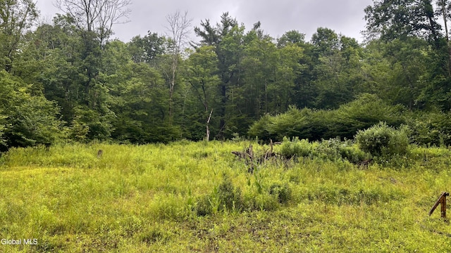 0 California Hollow Rd, Bolivar, NY 14715 - photo 12