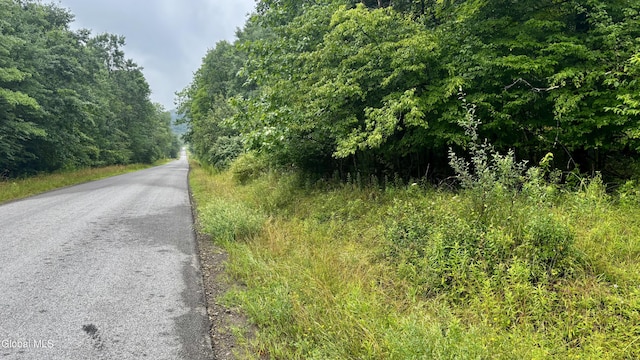 0 California Hollow Rd, Bolivar, NY 14715 - photo 13