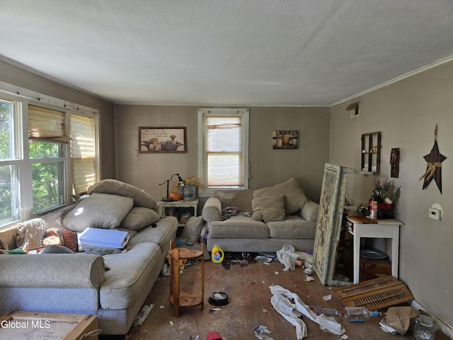17 Bellrose Ave, Cortland, NY 13045 - photo 21