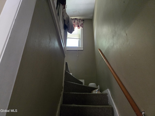 17 Bellrose Ave, Cortland, NY 13045 - photo 32
