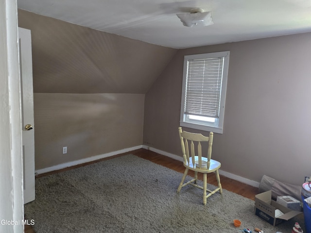 17 Bellrose Ave, Cortland, NY 13045 - photo 26