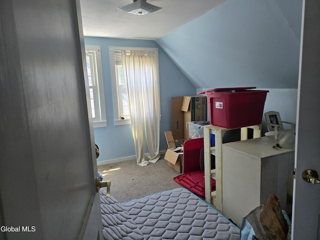 17 Bellrose Ave, Cortland, NY 13045 - photo 27