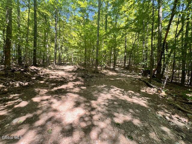 L7.41 Summit Lake Rd, Argyle, NY 12809 - photo 5