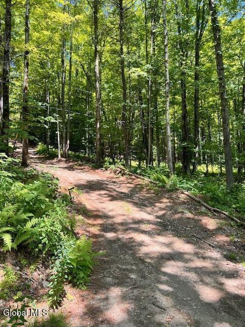 L7.41 Summit Lake Rd, Argyle, NY 12809 - photo 2