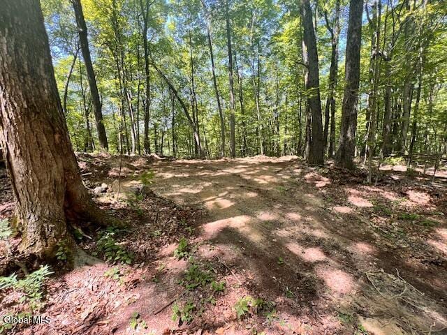 L7.41 Summit Lake Rd, Argyle, NY 12809 - photo 12