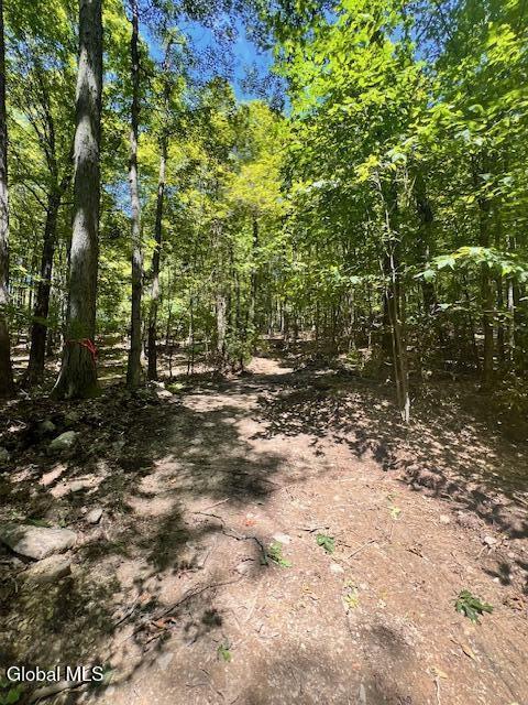 L7.41 Summit Lake Rd, Argyle, NY 12809 - photo 6