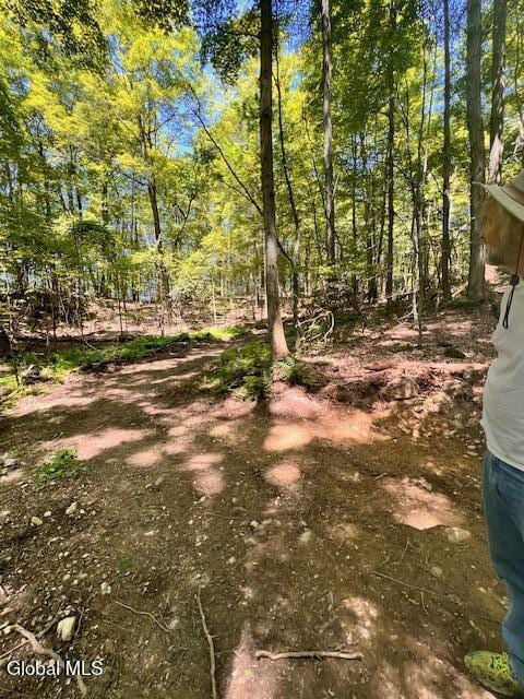 L7.41 Summit Lake Rd, Argyle, NY 12809 - photo 7