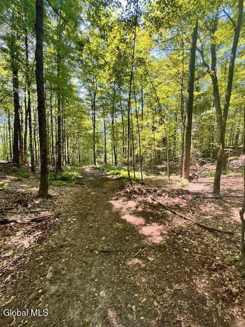 L7.41 Summit Lake Rd, Argyle, NY 12809 - photo 8