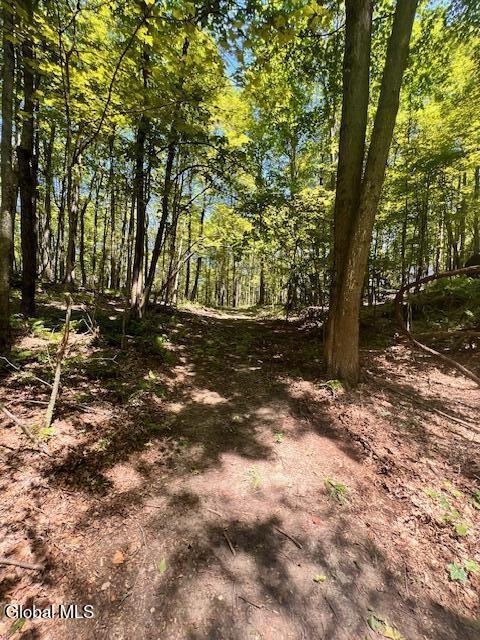 L7.41 Summit Lake Rd, Argyle, NY 12809 - photo 9