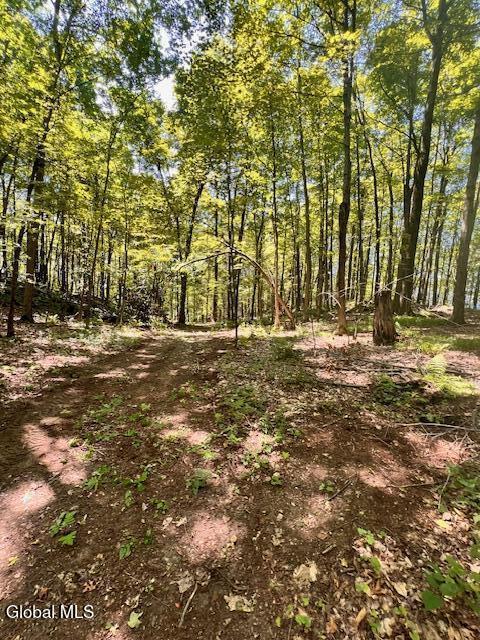 L7.41 Summit Lake Rd, Argyle, NY 12809 - photo 10