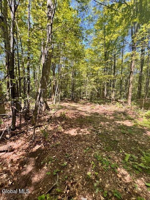 L7.41 Summit Lake Rd, Argyle, NY 12809 - photo 11