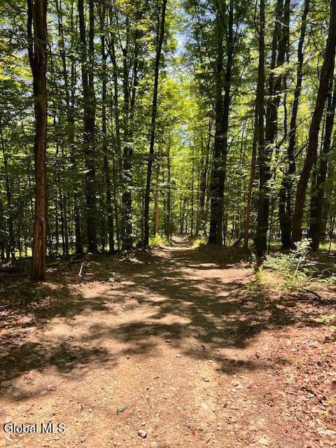 L7.41 Summit Lake Rd, Argyle, NY 12809 - photo 13