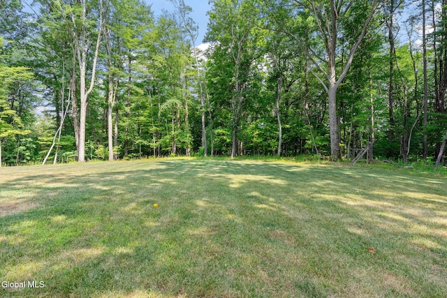 27 Woodland Dr, Schodack, NY 12033 - photo 40