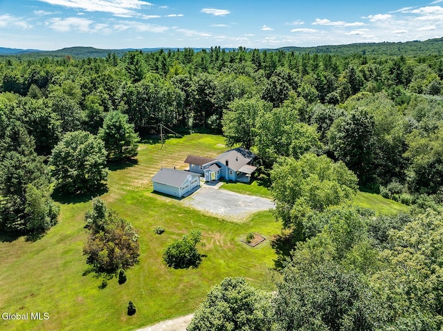 12 Hawks Way, White Creek, NY 12057 - photo 23