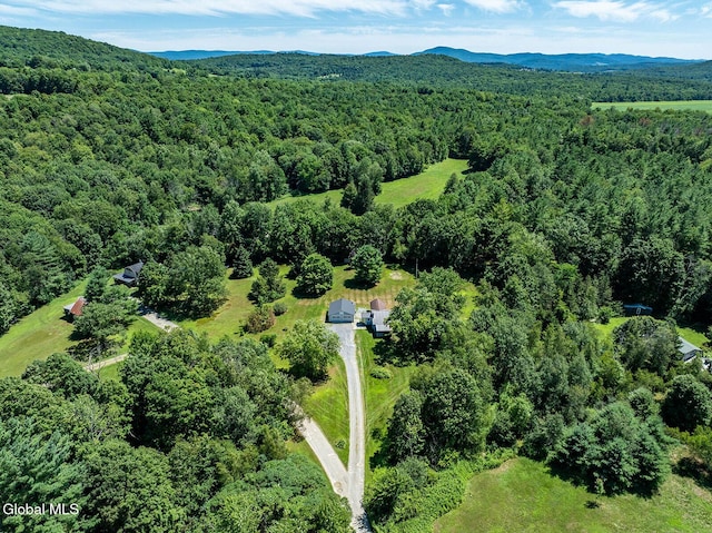 12 Hawks Way, White Creek, NY 12057 - photo 24