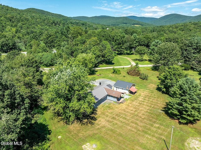 12 Hawks Way, White Creek, NY 12057 - photo 26