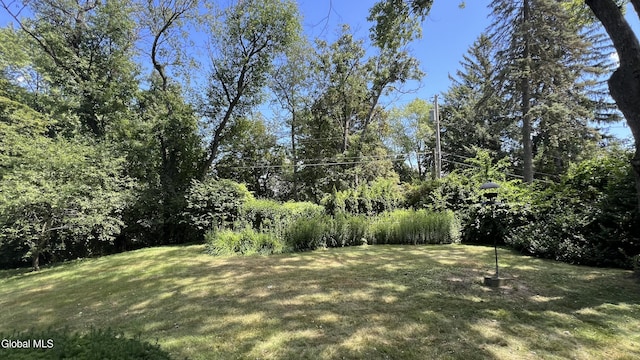 1128 Hedgewood Ln, Niskayuna, NY 12309 - photo 11