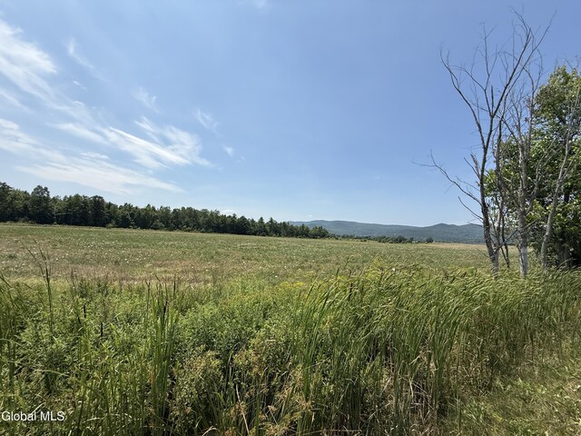 L4/6 Shanahan Rd, Ticonderoga, NY 12883 - photo 4