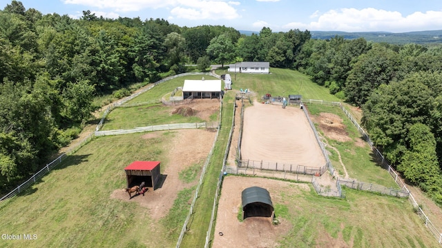 324 Rolling Hill Rd, Greenville, NY 12431 - photo 44