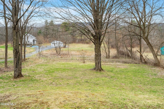 303 New Salem S Rd, New Scotland, NY 12186 - photo 3