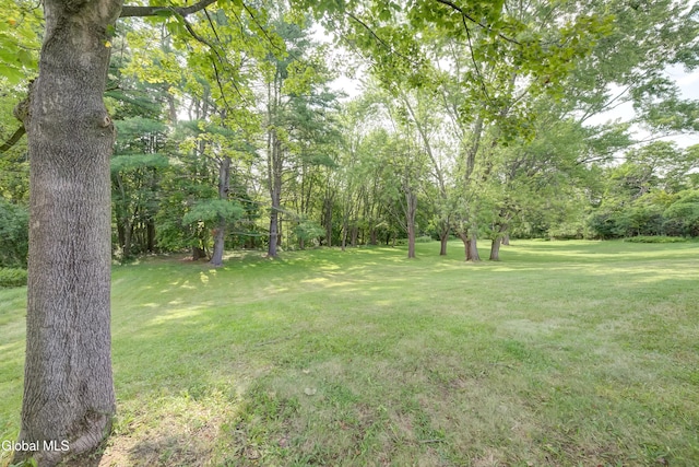 612 Sacandaga Rd, Glenville, NY 12302 - photo 53