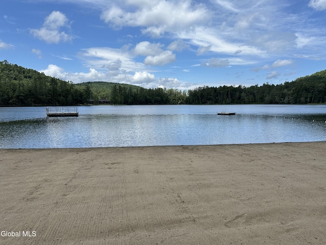 11 S Overlook Ln Unit A, Warrensburg, NY 12817 - photo 6